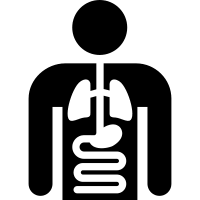 Medicine (Internal Medicine)