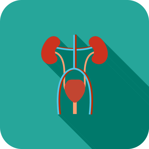 Female Urology