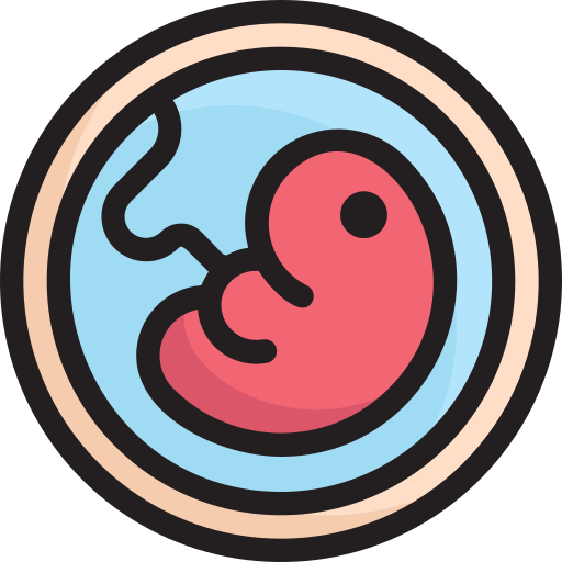 Embryology