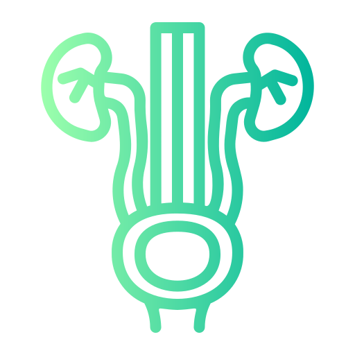 Urology & Andrology